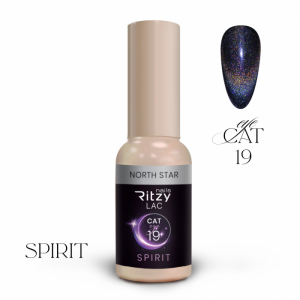 SPIRIT cat eye gel polish NORTH 19 (TPO Free)