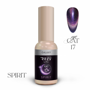 SPIRIT cat eye gel polish GALAXY 17 (TPO Free)